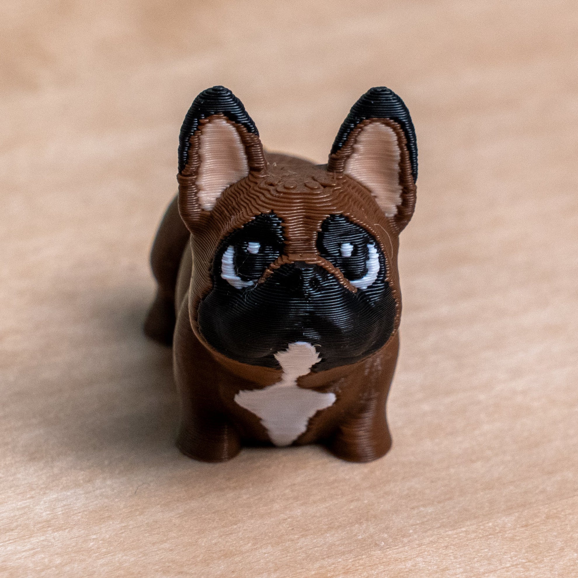 Modokin French Bulldog