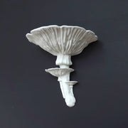 Amanita Caesarea Mushroom Shelf