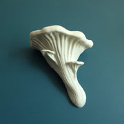 Oyster Mushroom Ledge