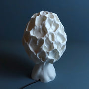 Morchella Lamp