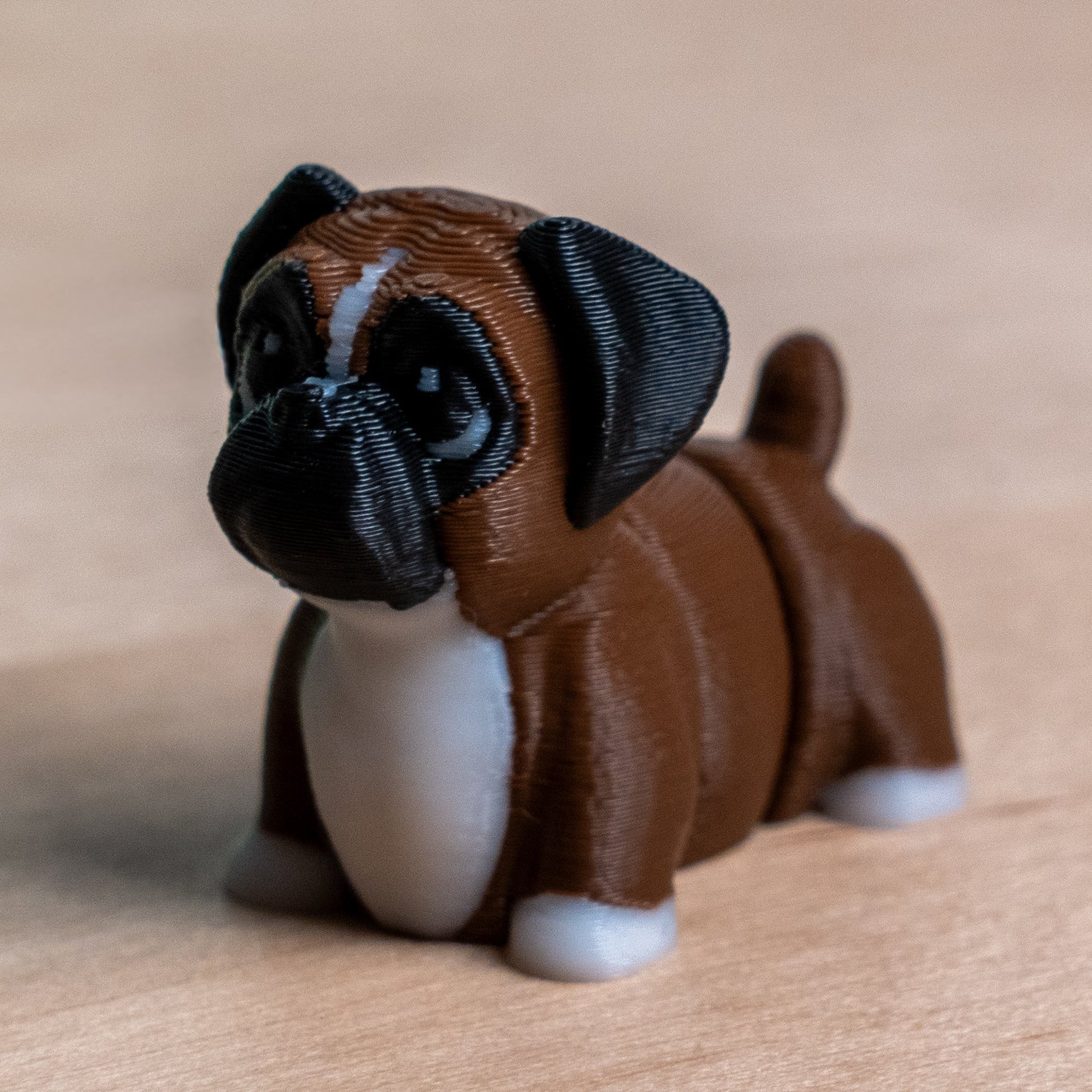 Modokin Boxer Dog