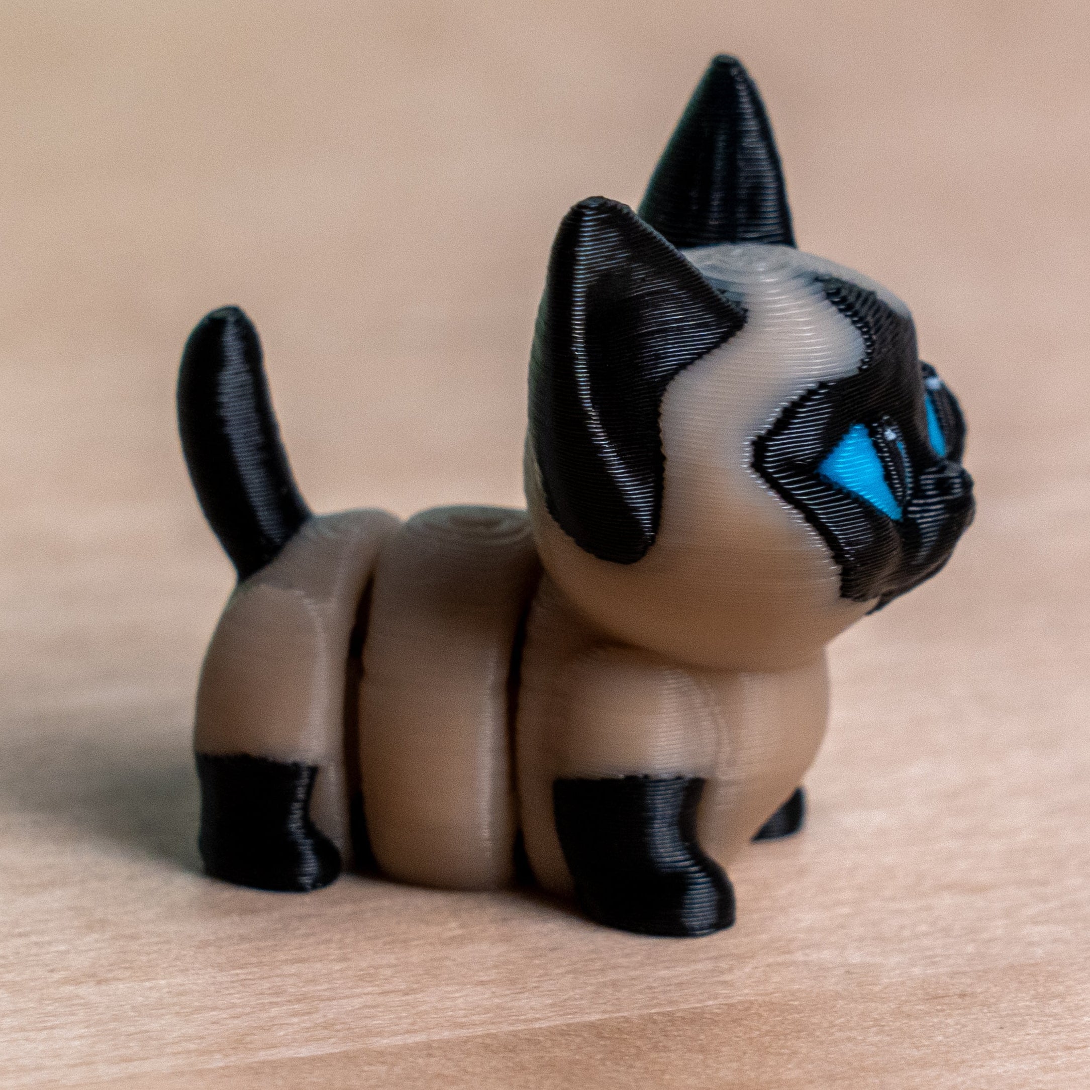 Modokin Gato Siamés