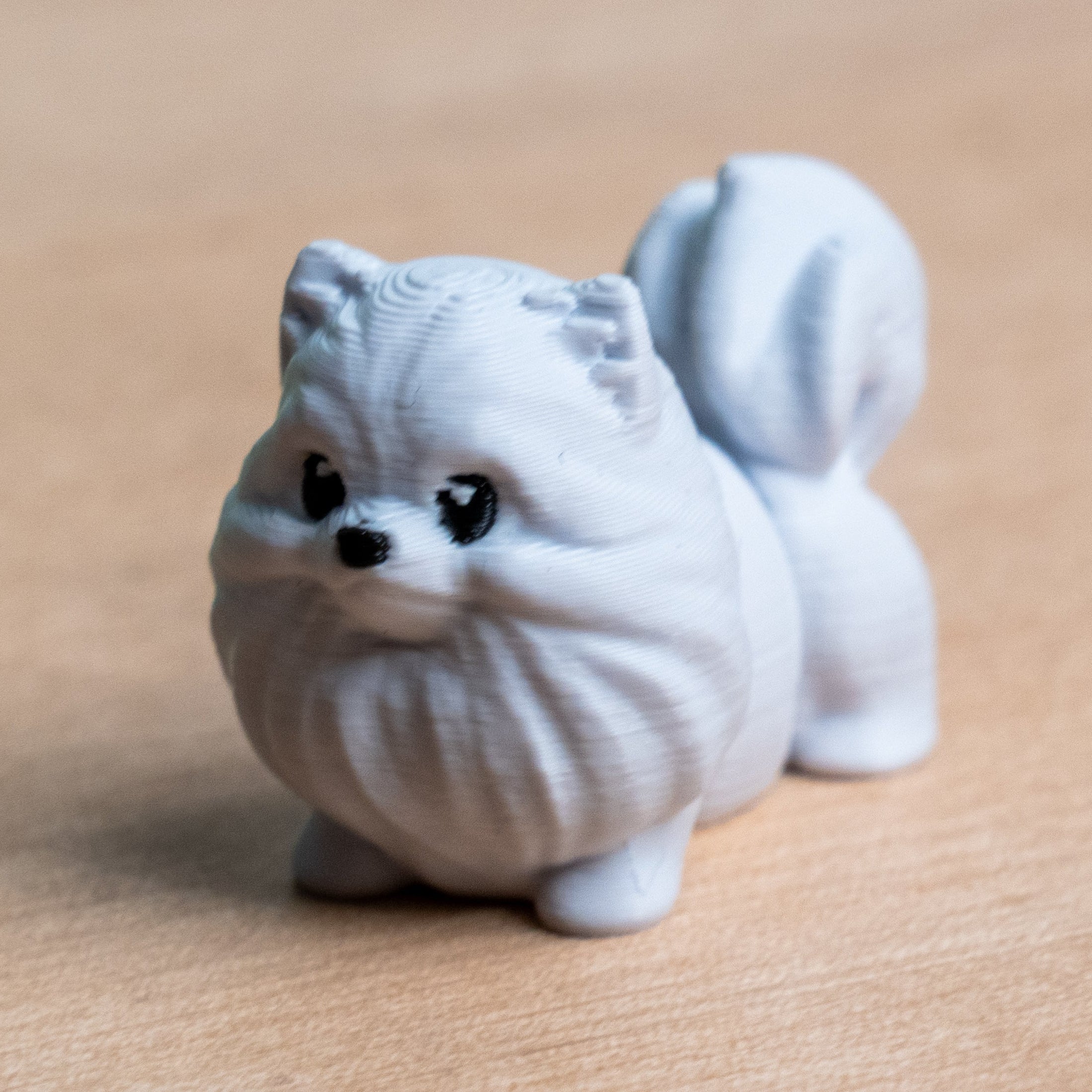 Modokin Pomeranian Dog