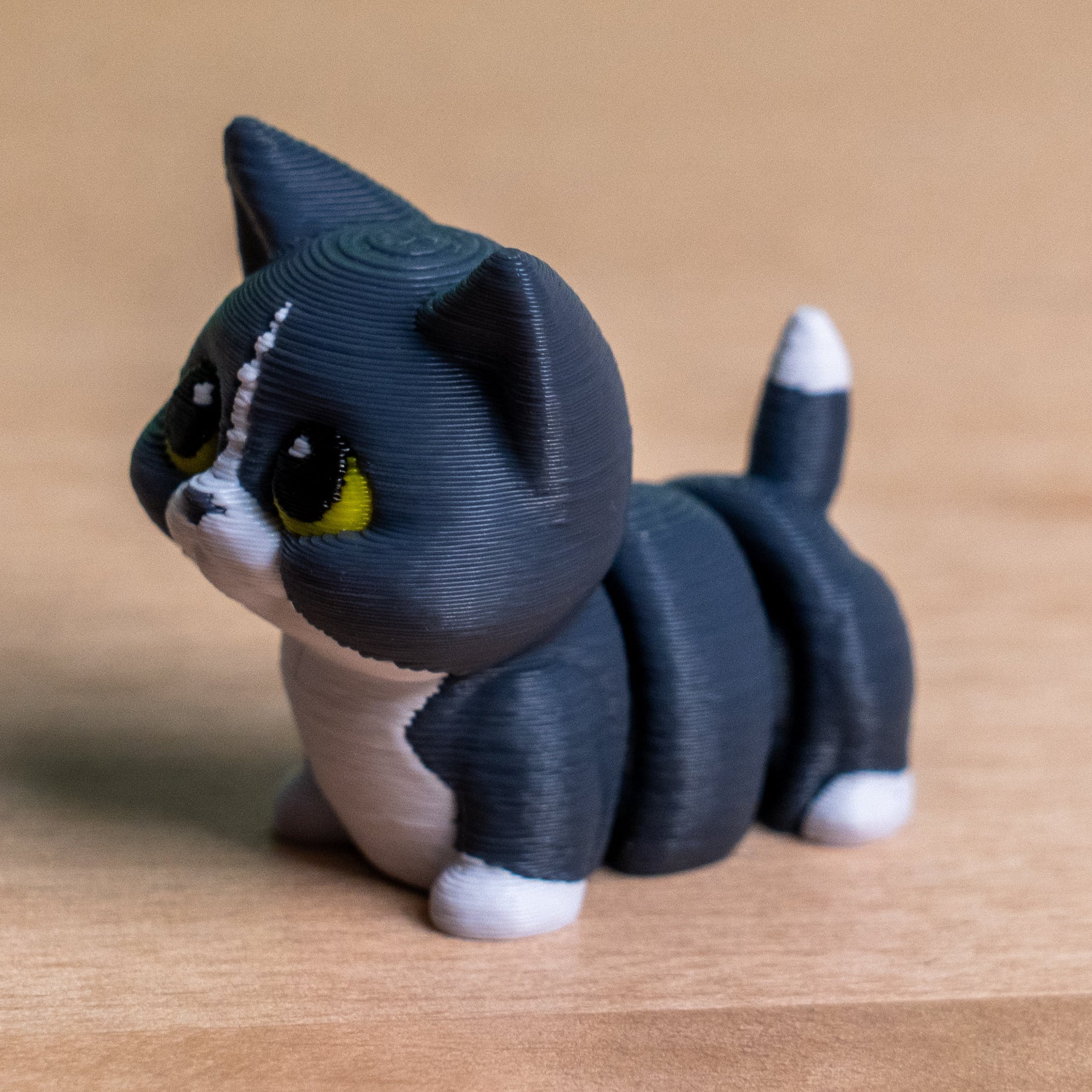 Modokin Gato Mestizo Gris con Blanco