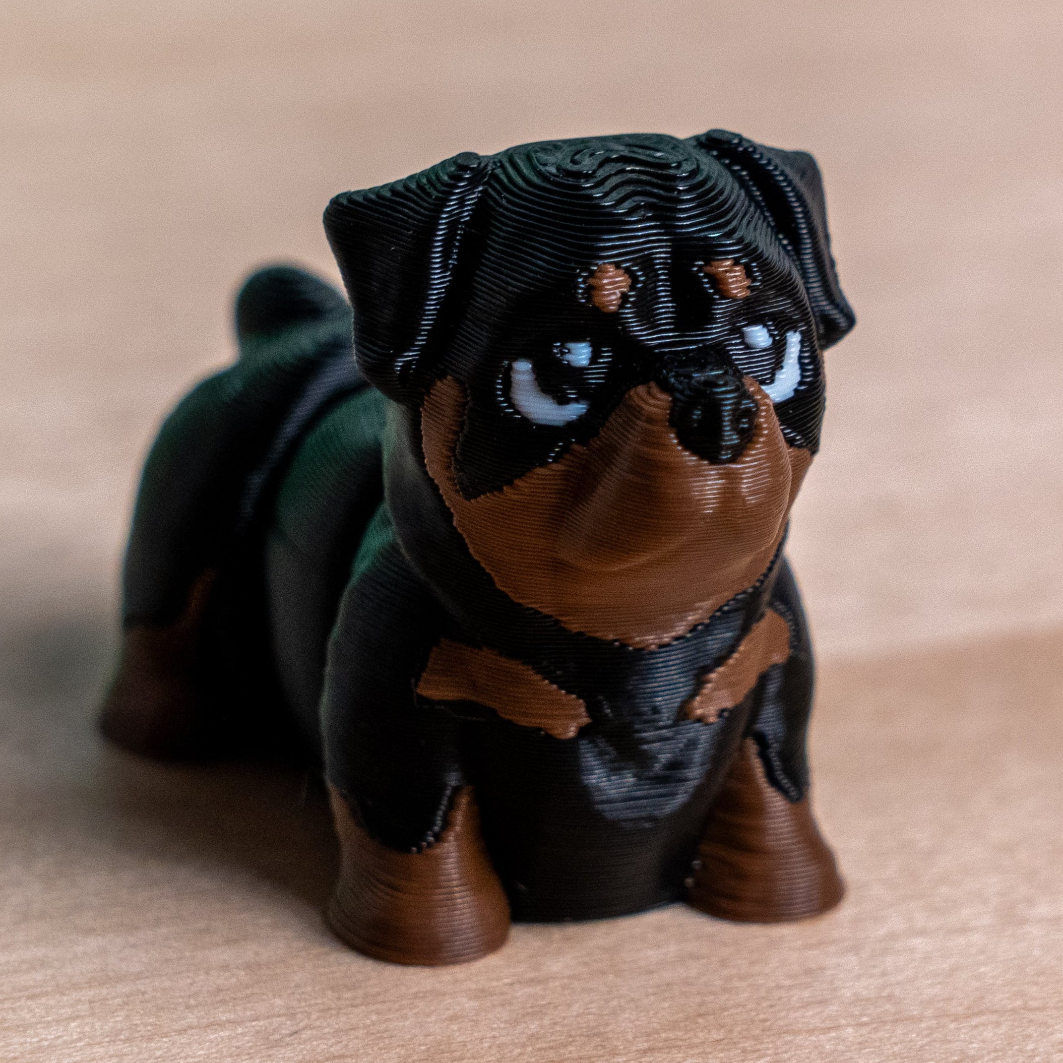 Modokin Perro Rottweiler