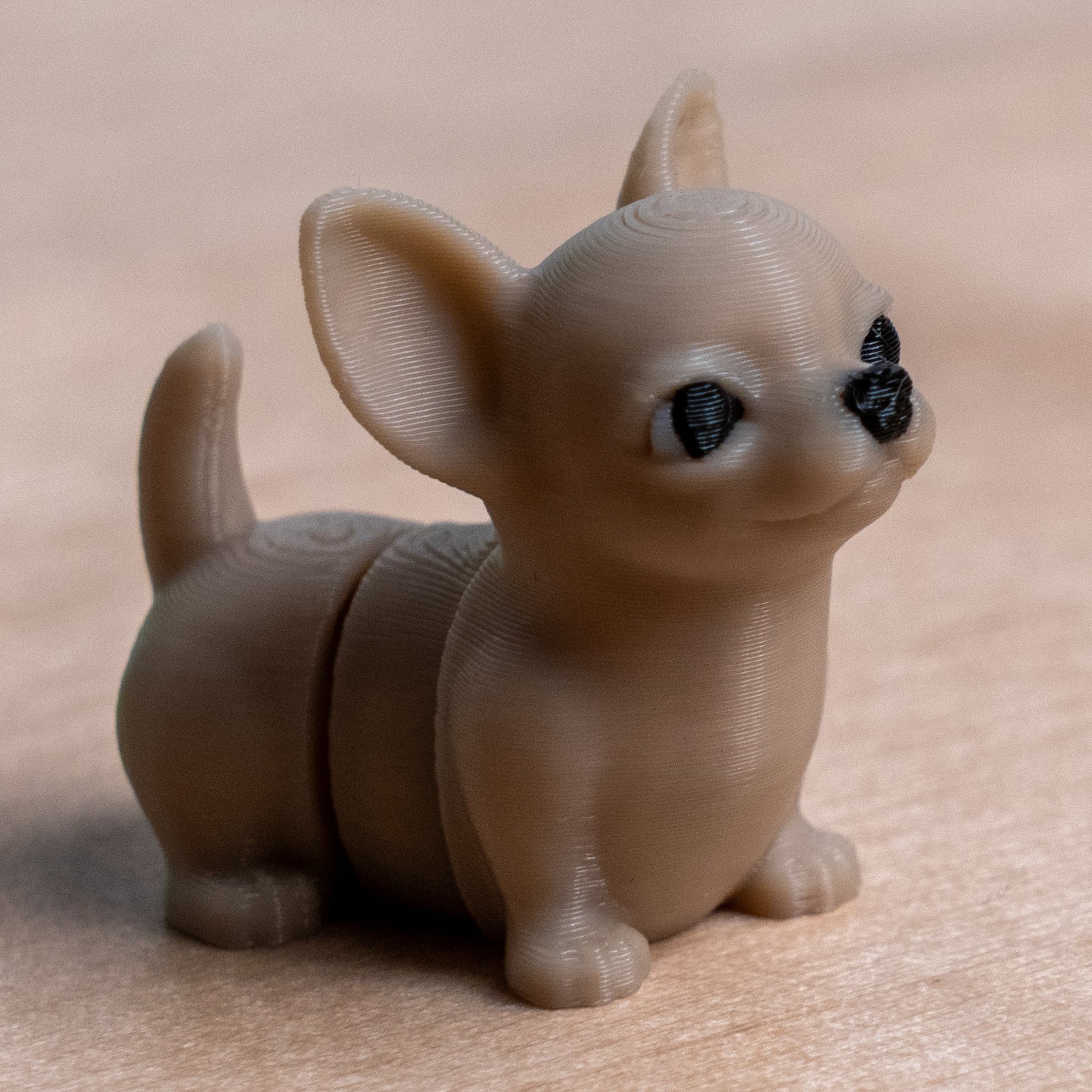 Modokin Perro Chihuahua