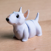 Modokin Bull Terrier Dog