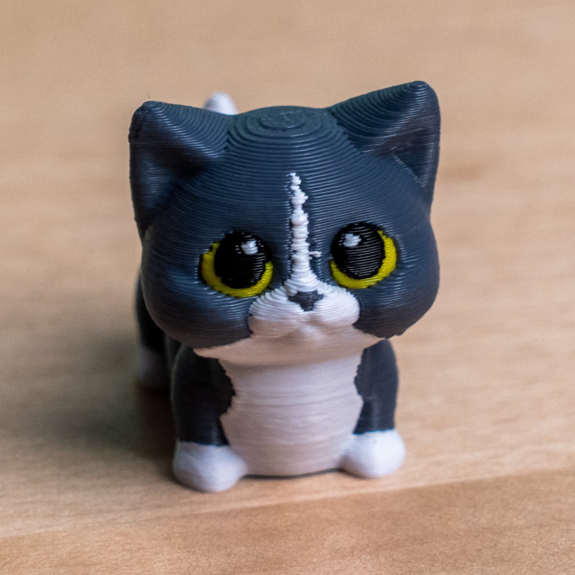 Modokin Gato Mestizo Gris con Blanco