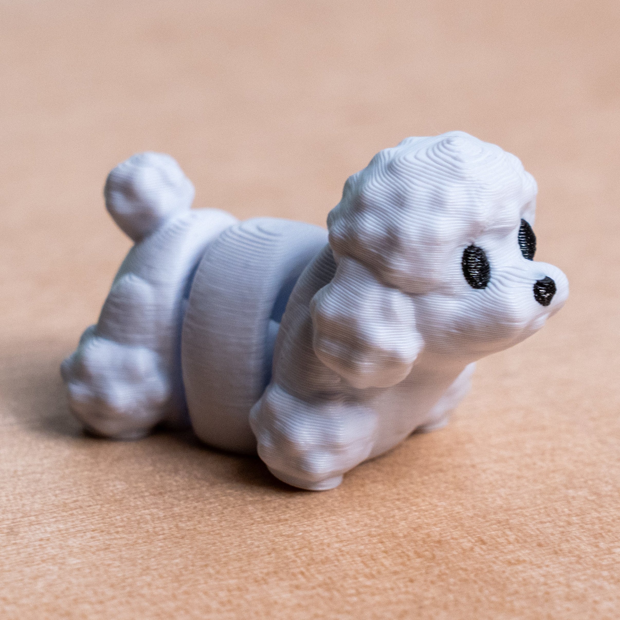 Modokin Poodle Dog