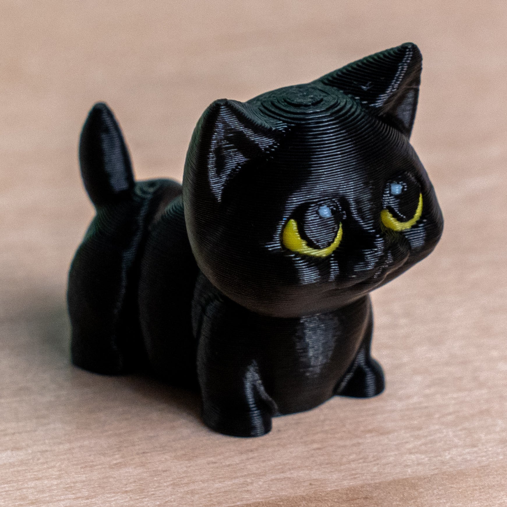 Modokin Gato Negro