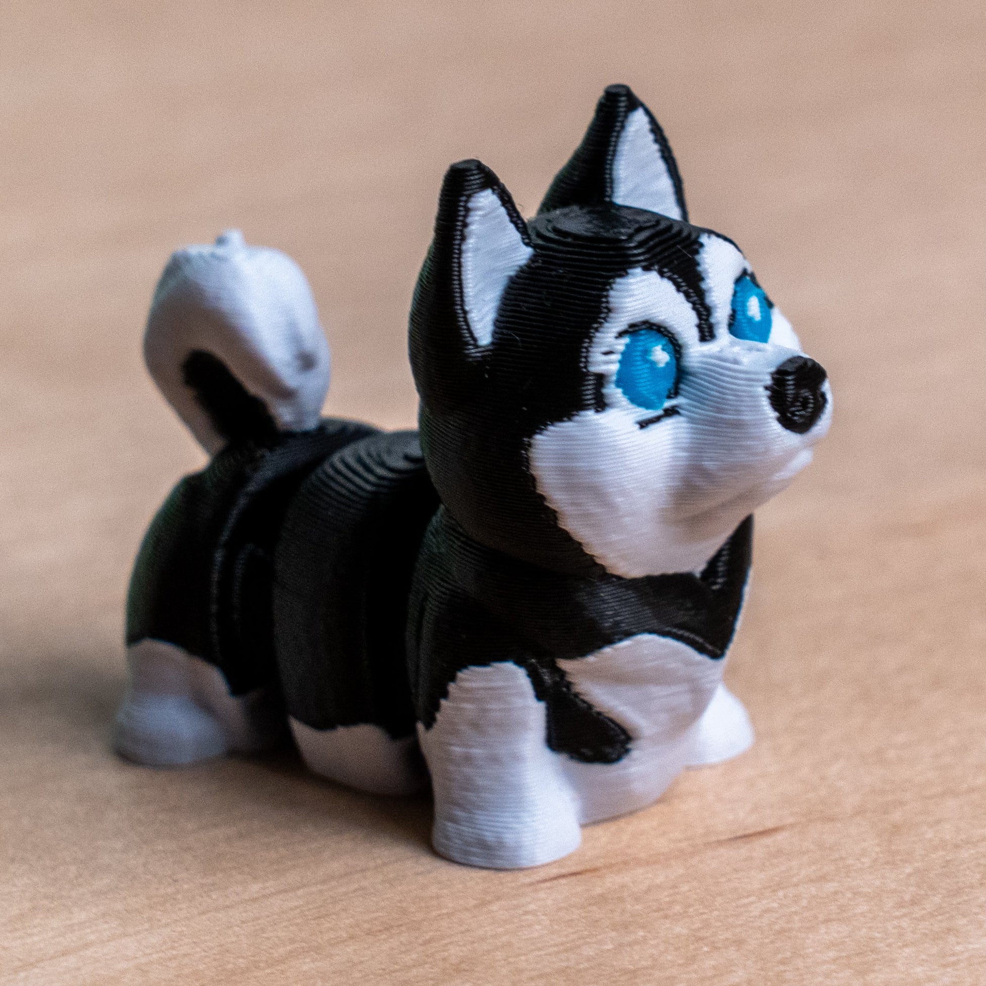 Modokin Perro Husky Siberiano