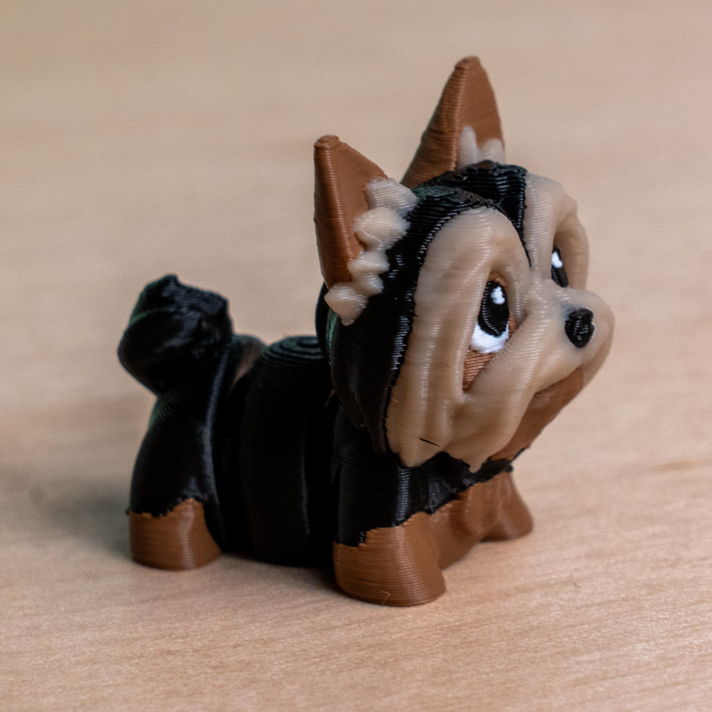 Modokin Yorkshire Dog