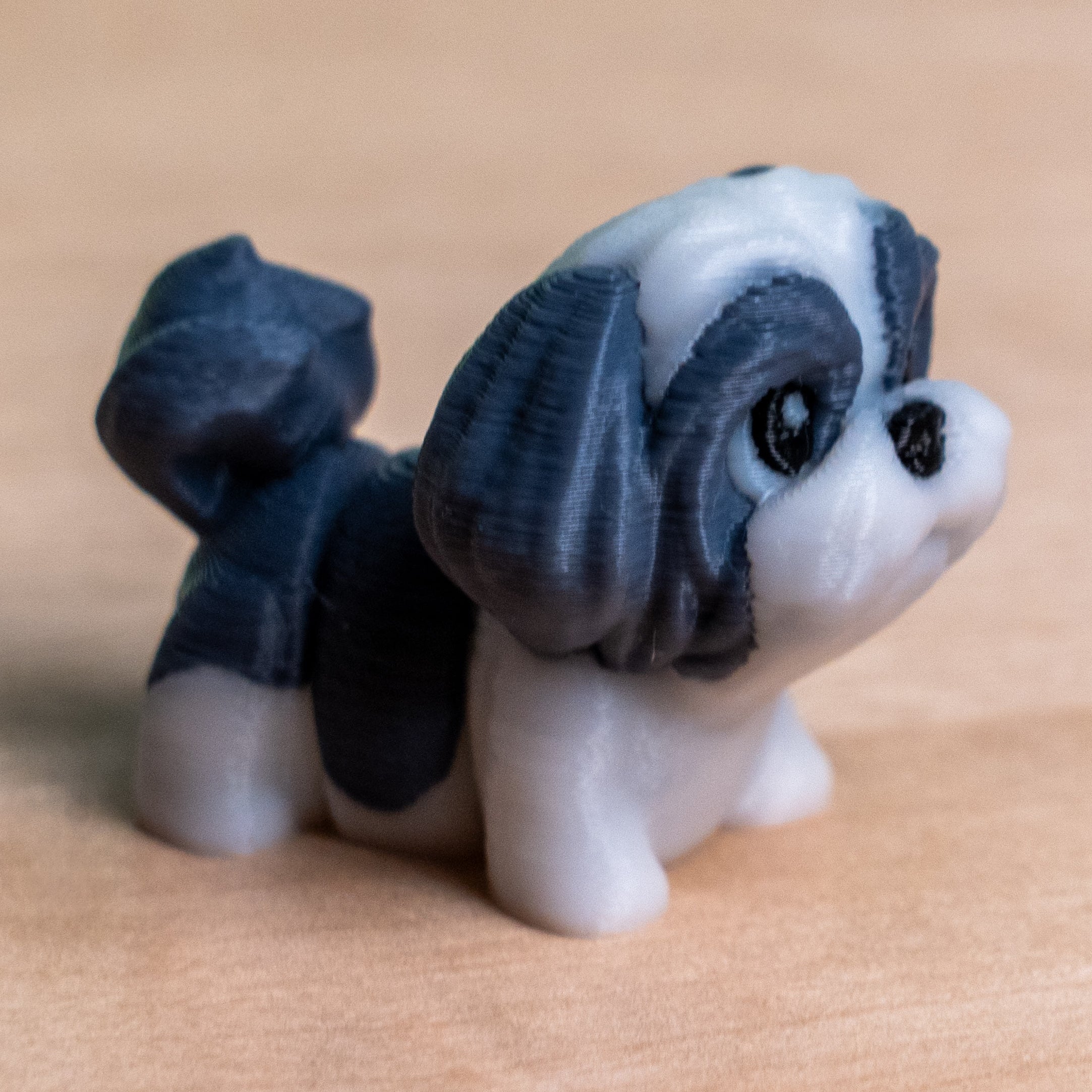 Modokin Shih Tzu dog