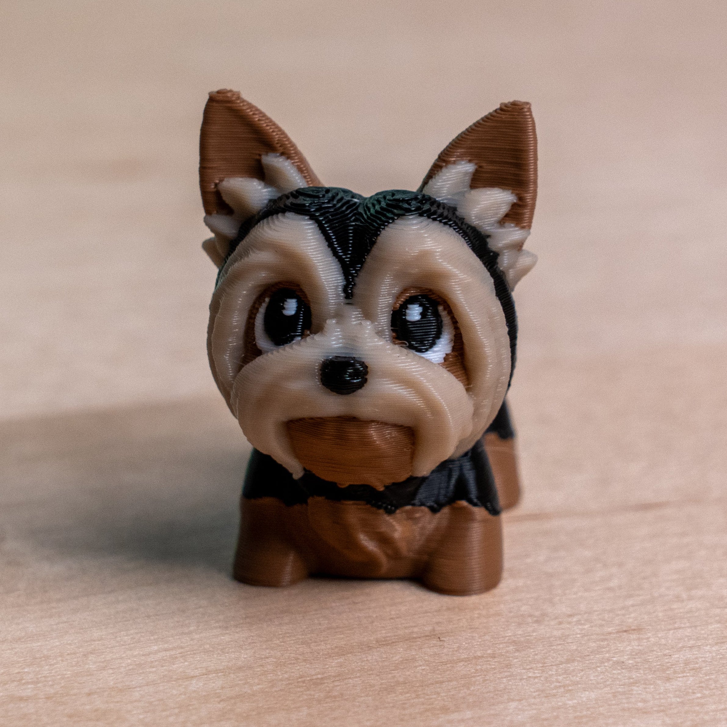 Modokin Yorkshire Dog