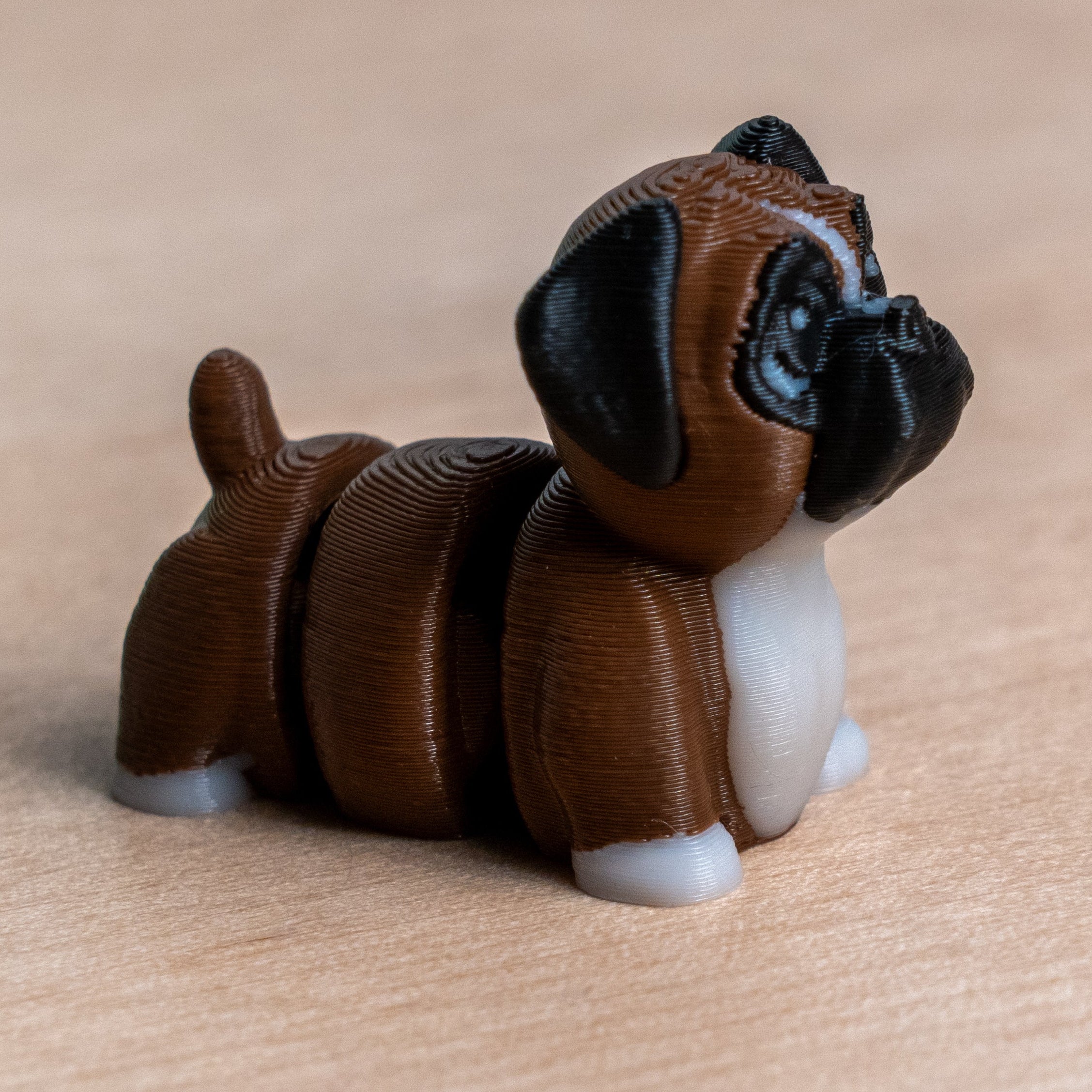 Modokin Boxer Dog