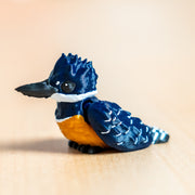 Modokin Pajaro Martín Pescador