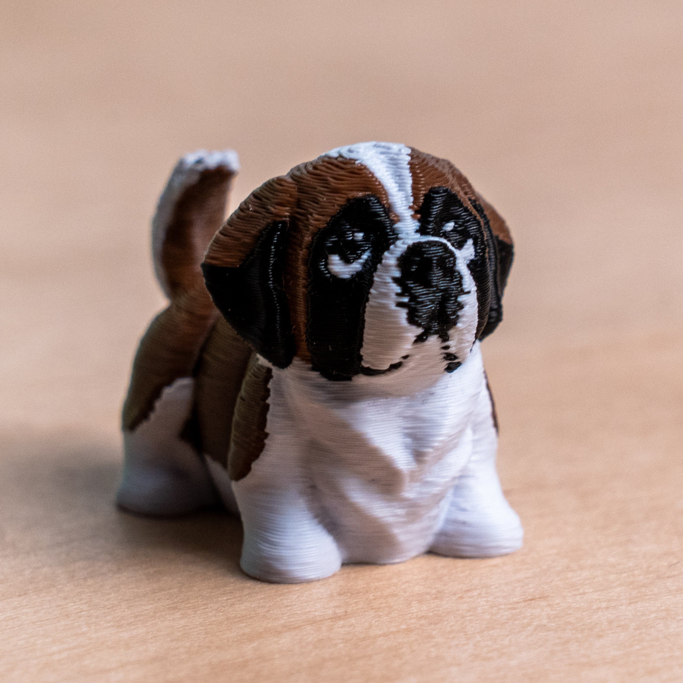 Modokin Saint Bernard