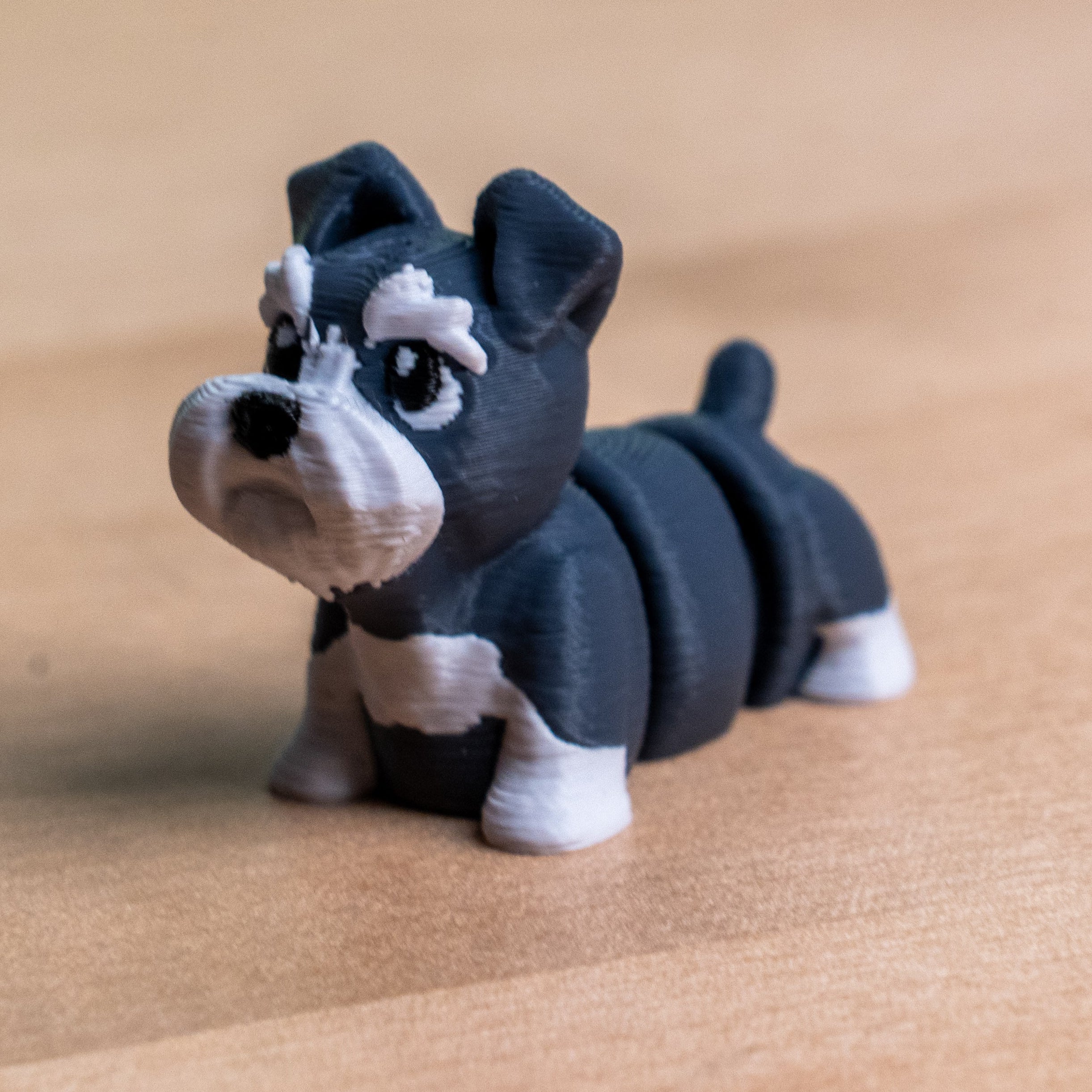 Modokin Schnauzer Dog