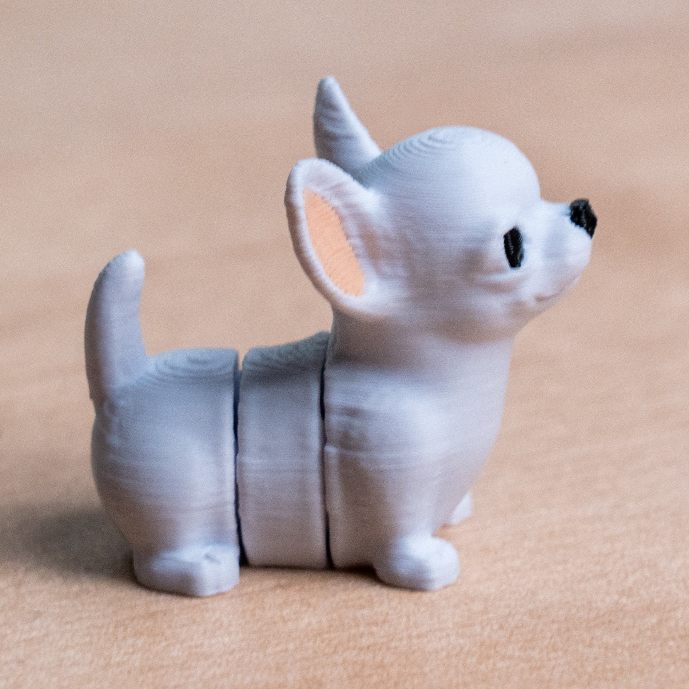 Modokin Perro Chihuahua
