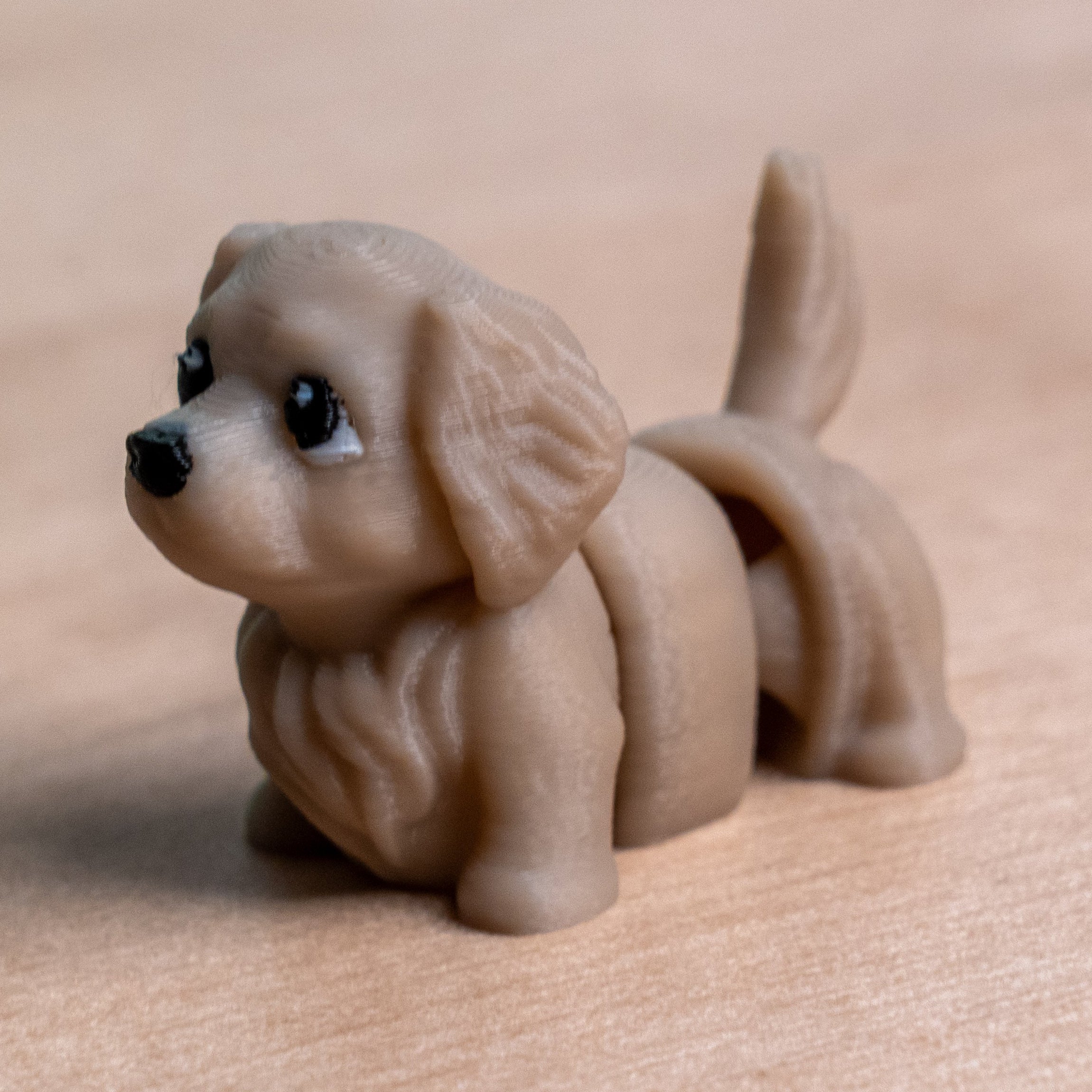 Modokin Perro Golden Retriever