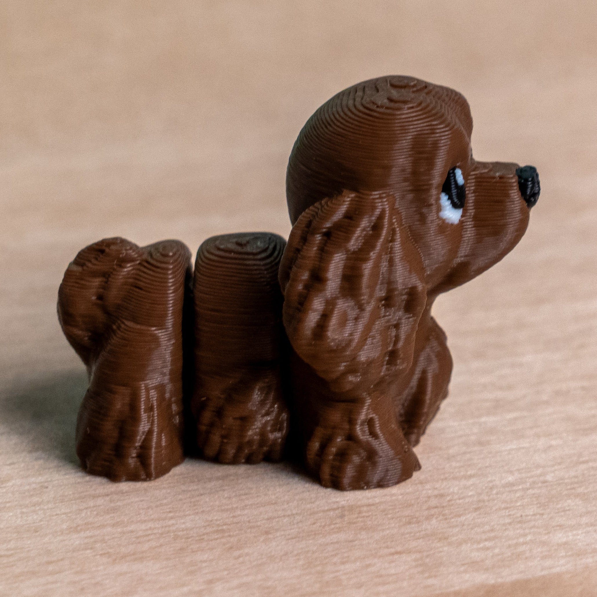 Modokin Perro Cocker Spaniel