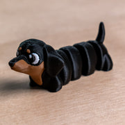 Dachshund