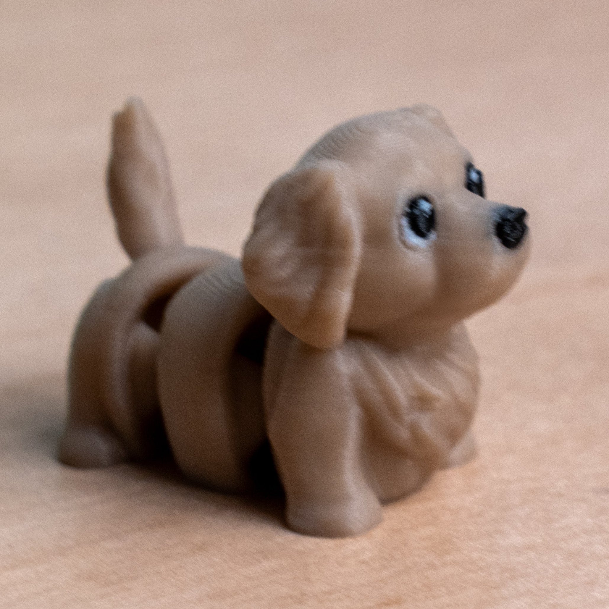 Modokin Perro Golden Retriever