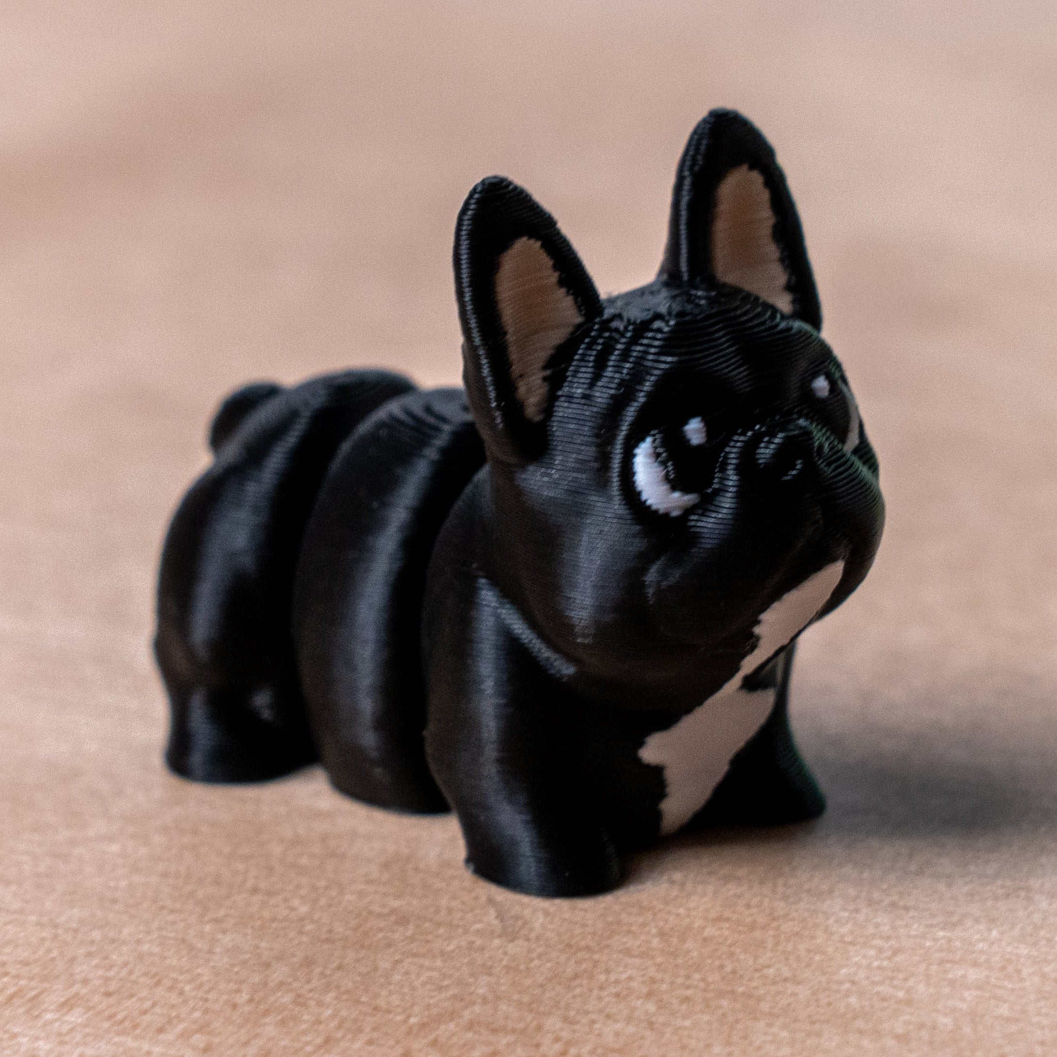 Modokin French Bulldog