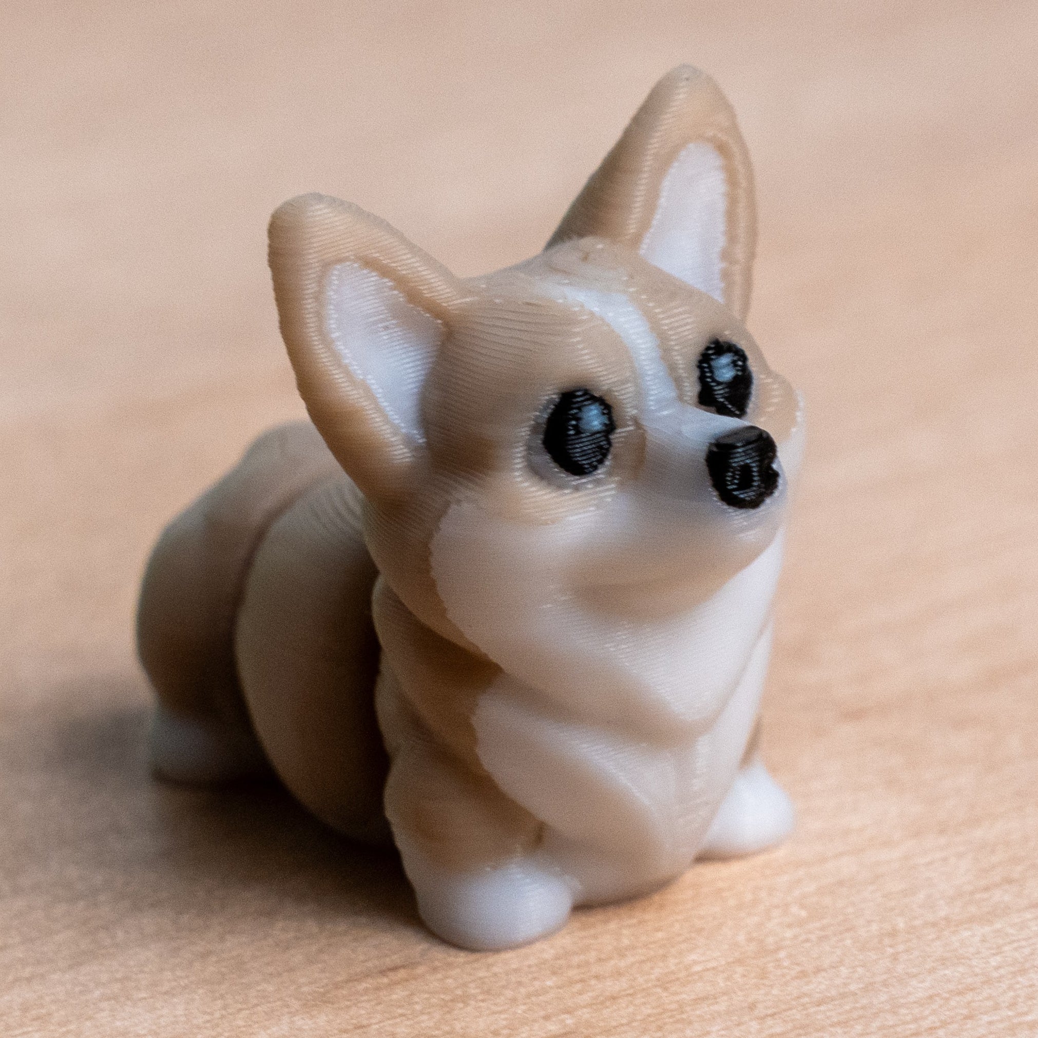 Modokin Perro Corgi Galés
