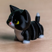 Modokin Gato Mestizo Negro con Blanco