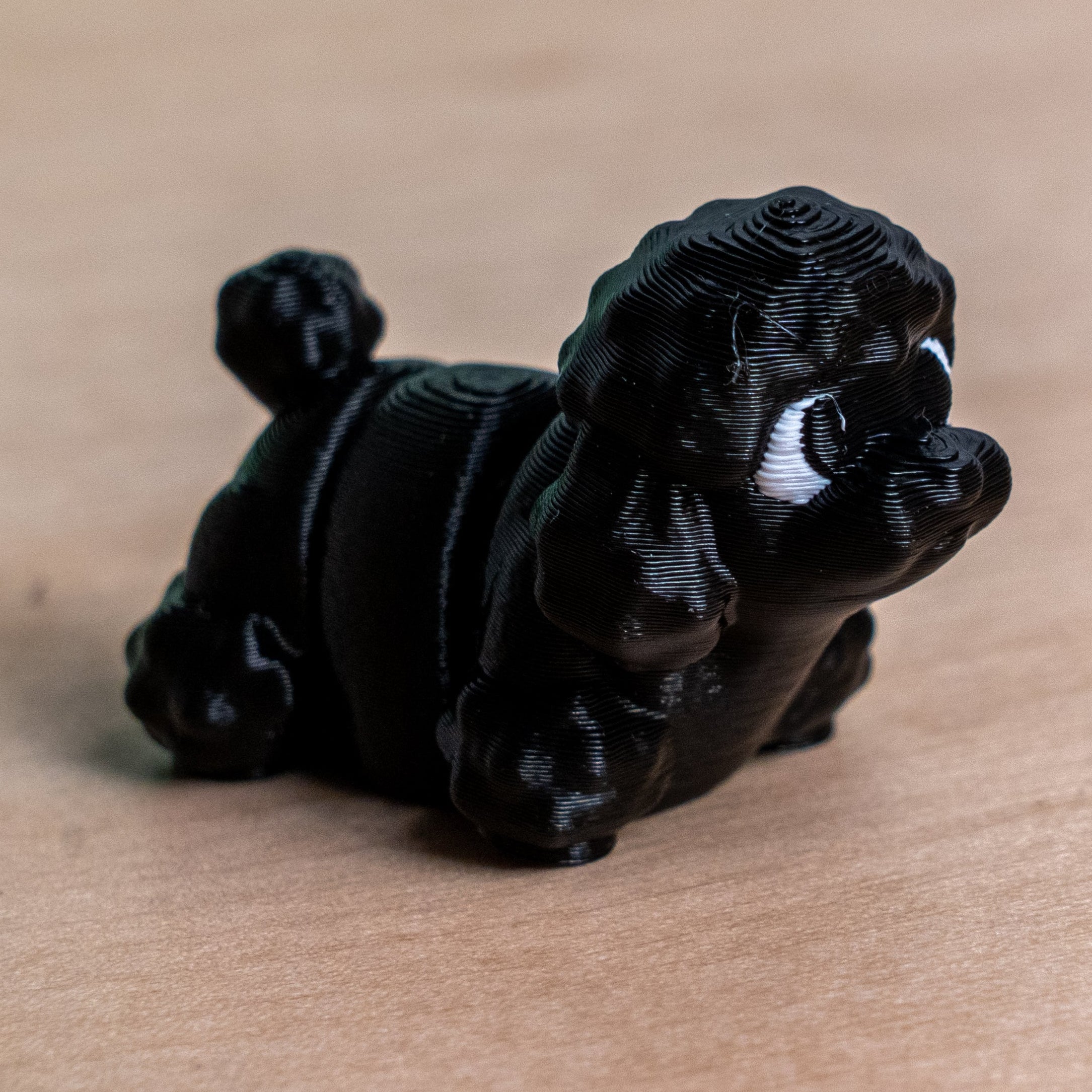 Modokin Poodle Dog
