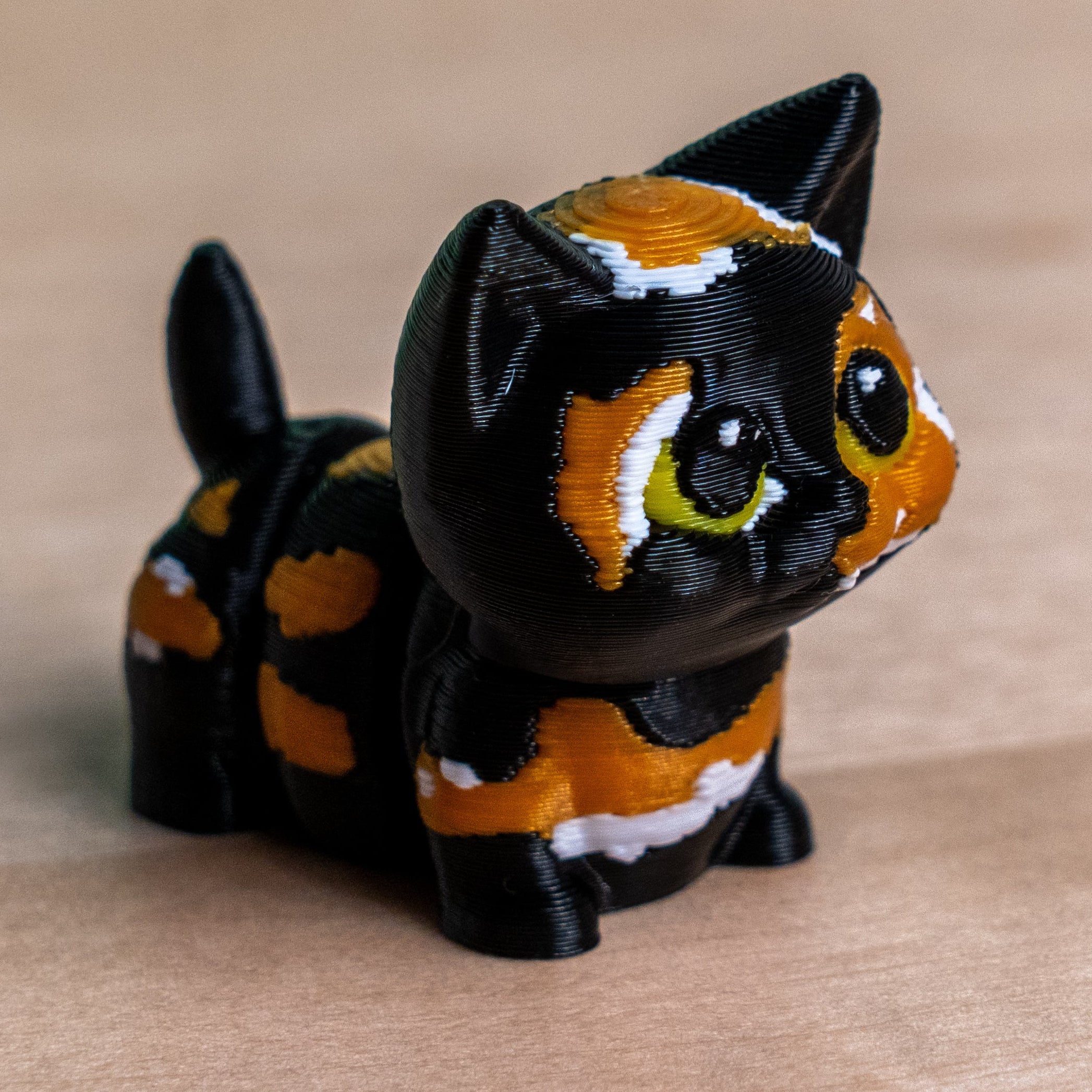 Modokin Gato Carey