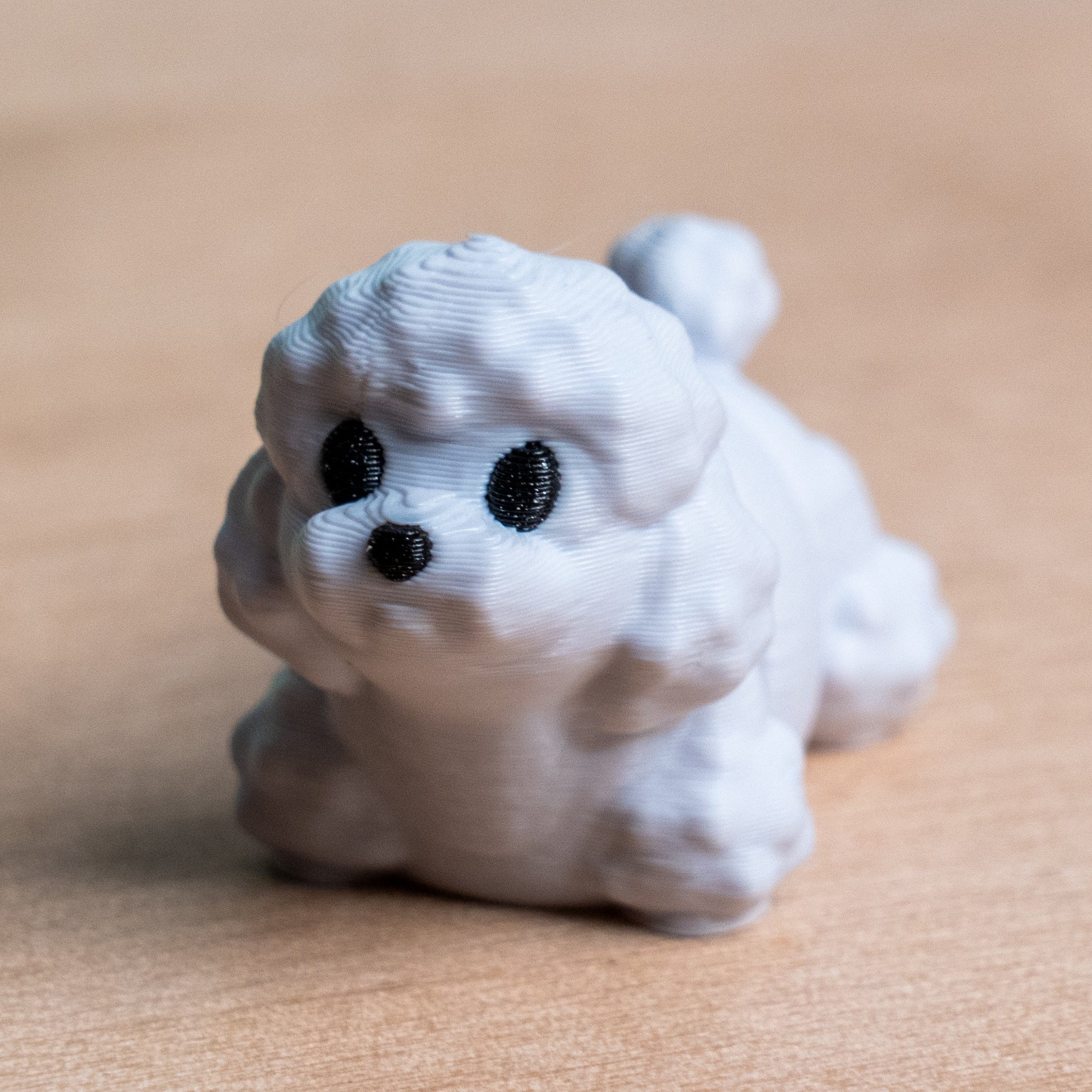 Modokin Poodle Dog