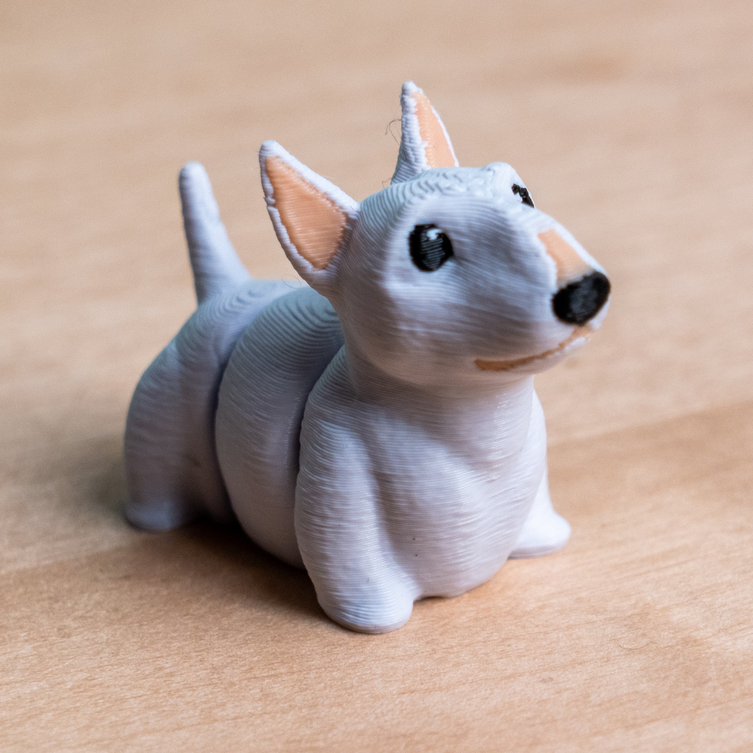 Modokin Bull Terrier Dog