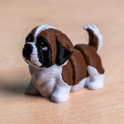 Modokin Saint Bernard
