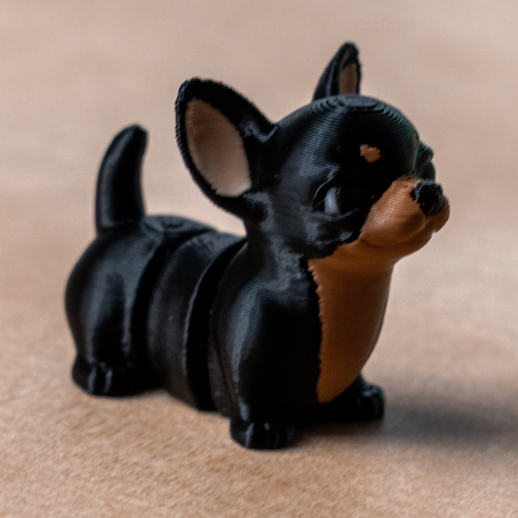 Modokin Perro Chihuahua