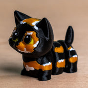 Modokin Gato Carey
