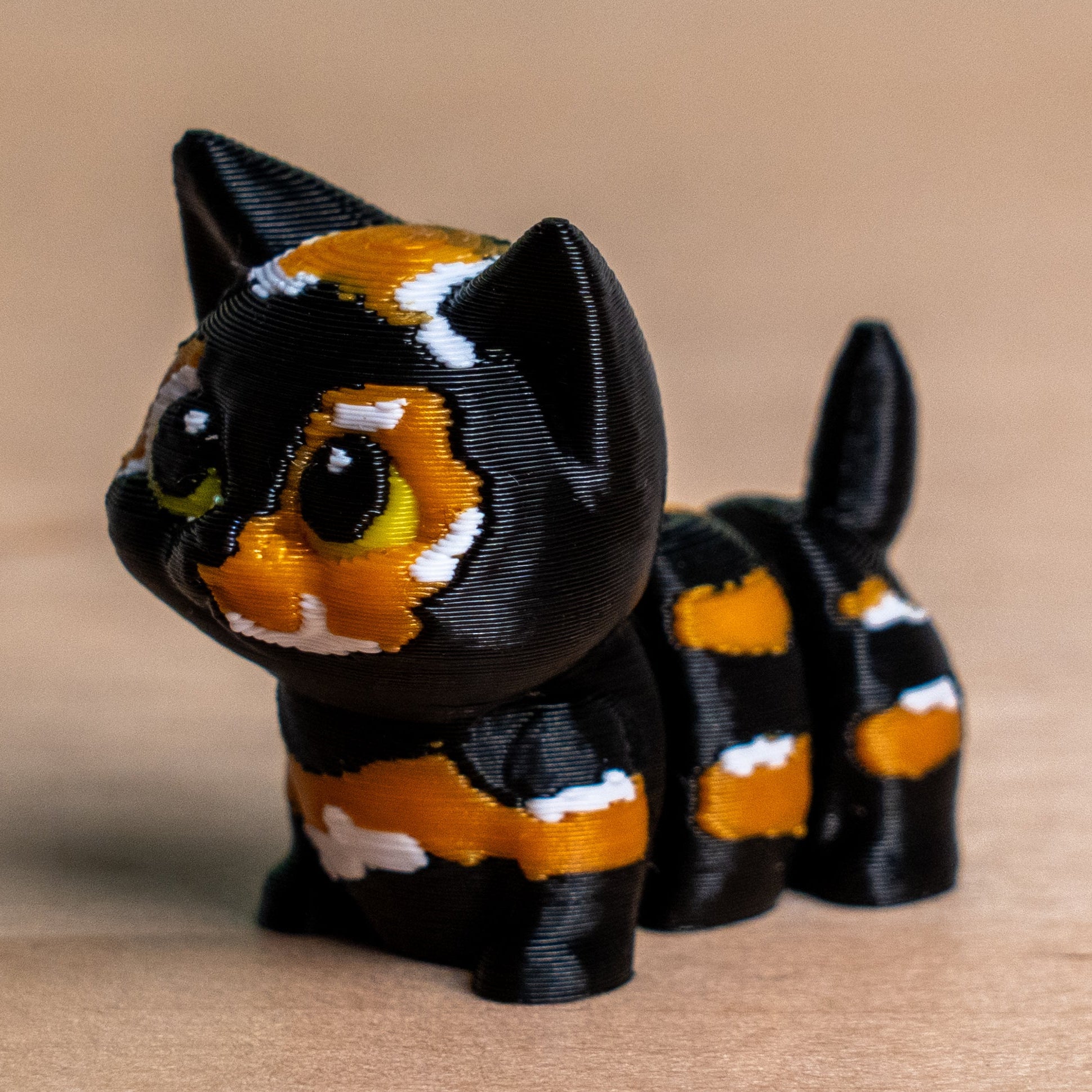 Modokin Gato Carey