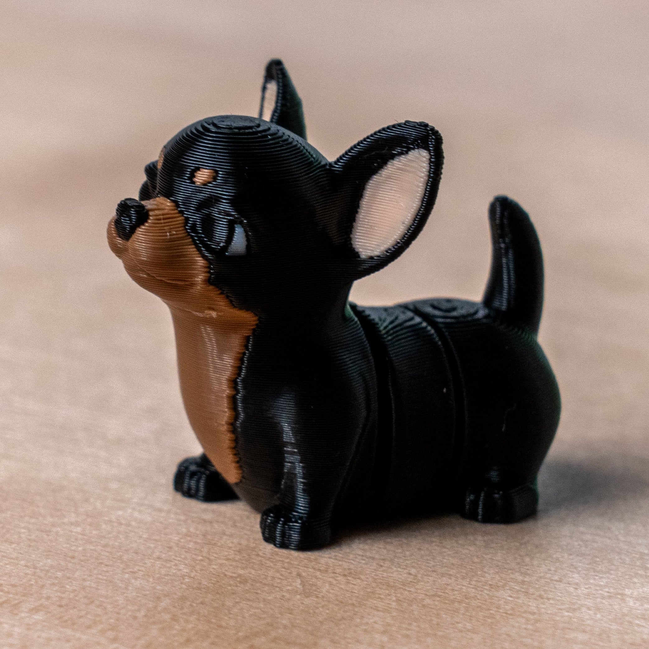 Modokin Perro Chihuahua