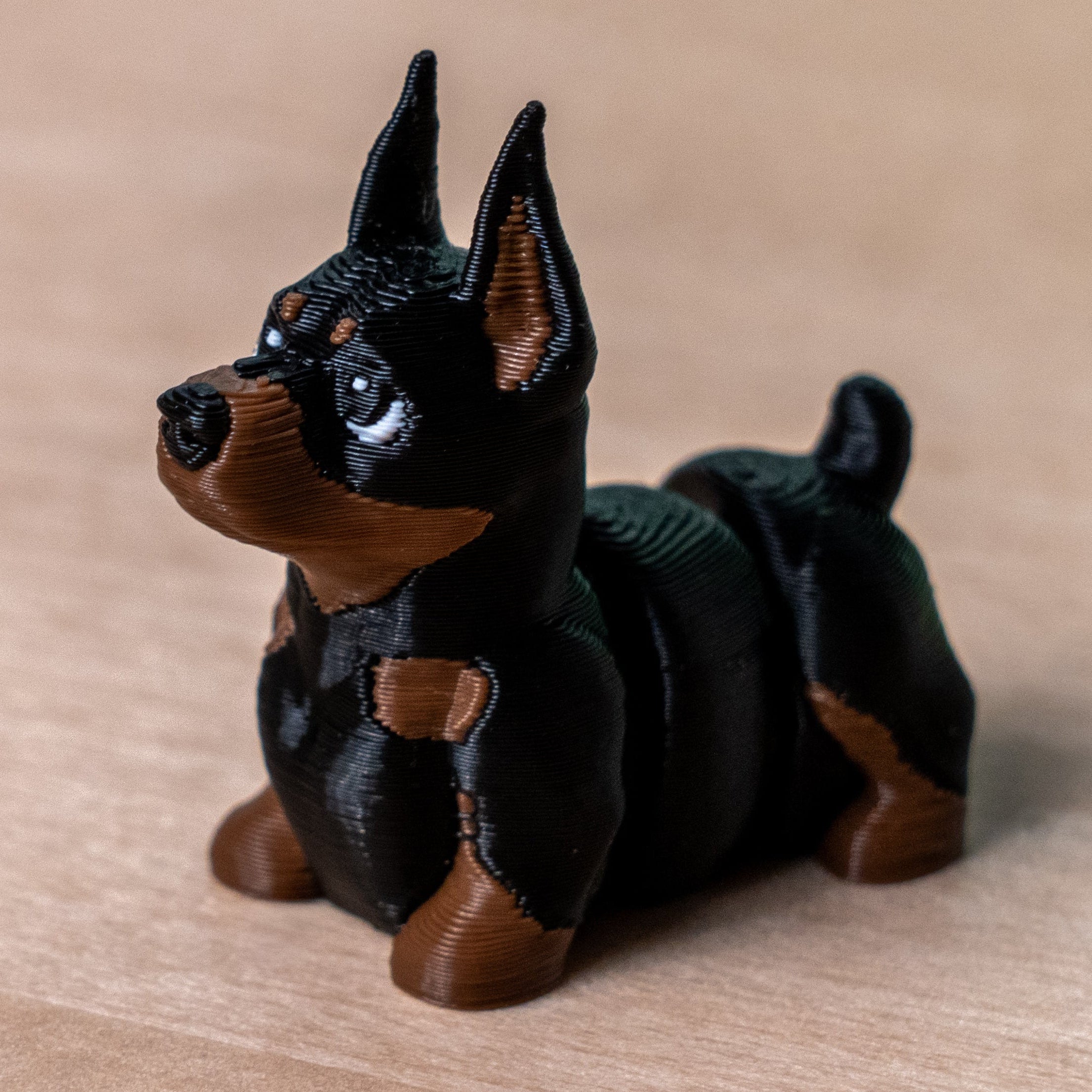 Modokin Perro Dóberman