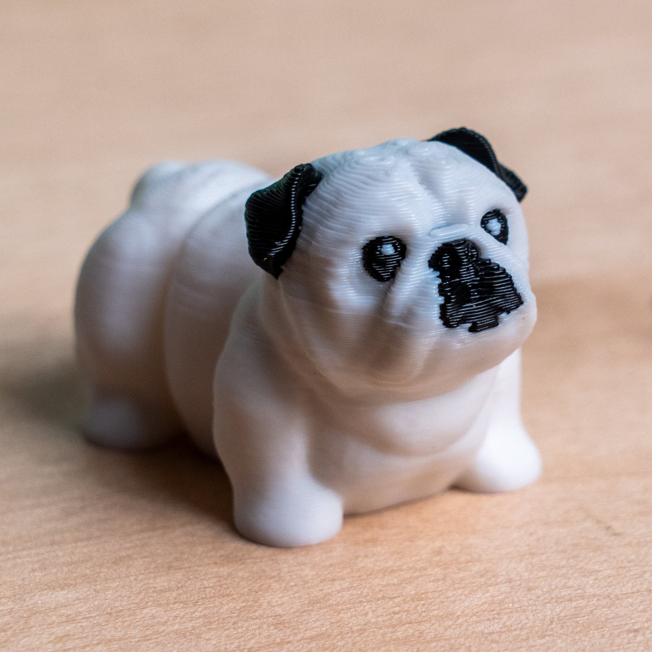 Modokin English Bulldog Dog