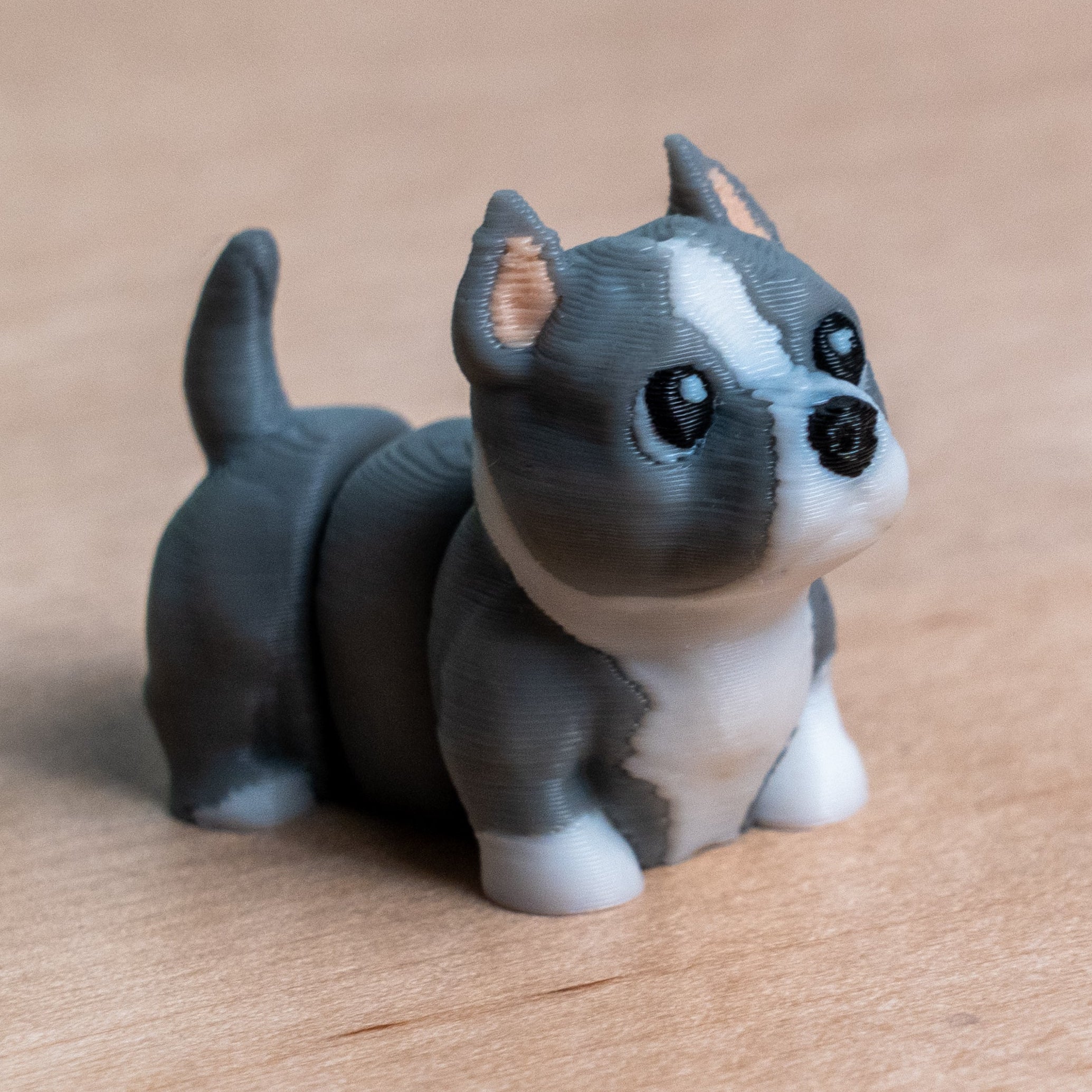 Modokin American Pit Bull Terrier