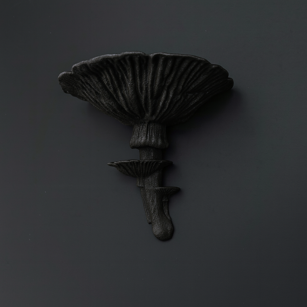Repisa Hongo Amanita Caesarea