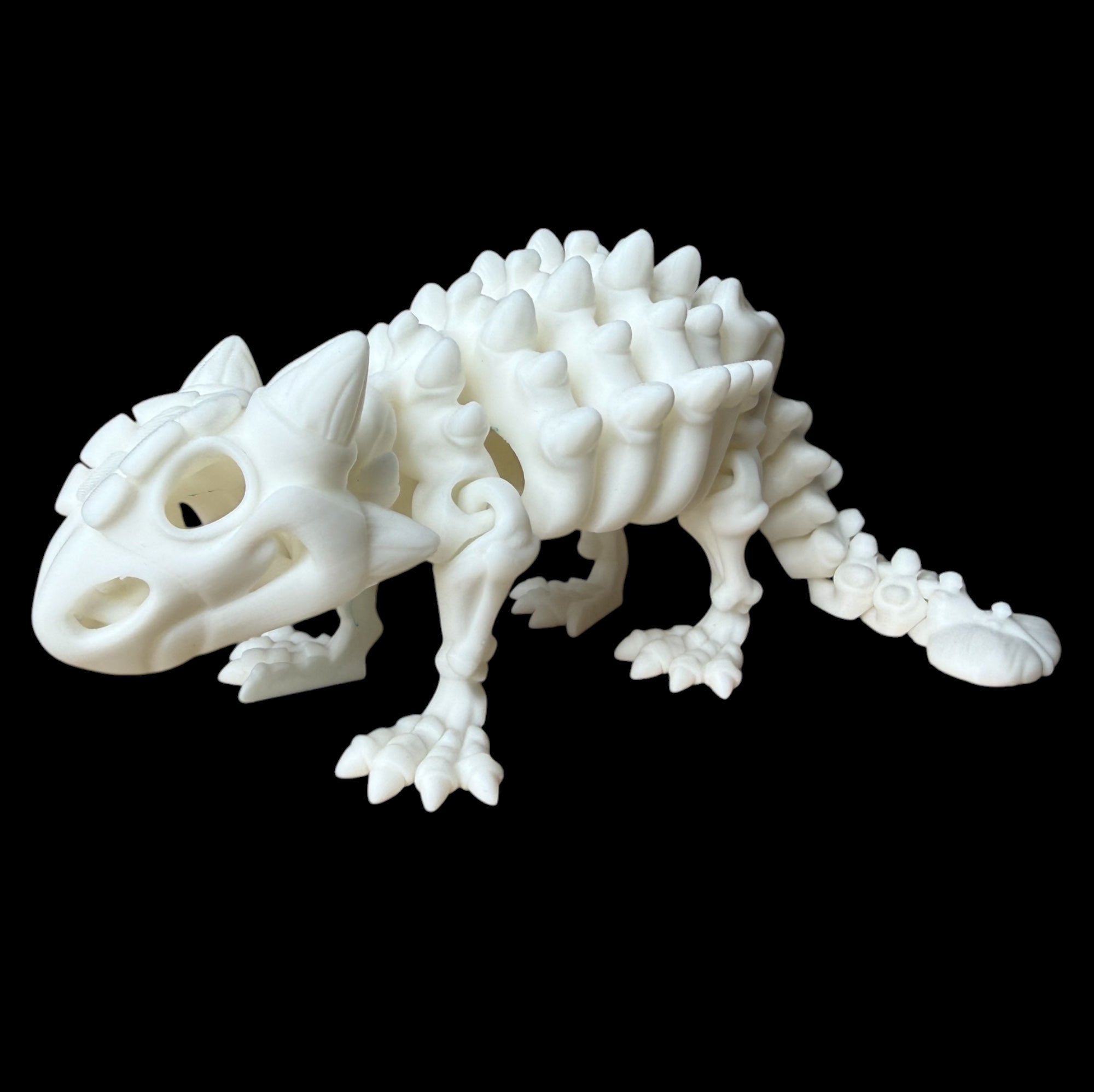Ankylosaurus Esqueleto Articulado