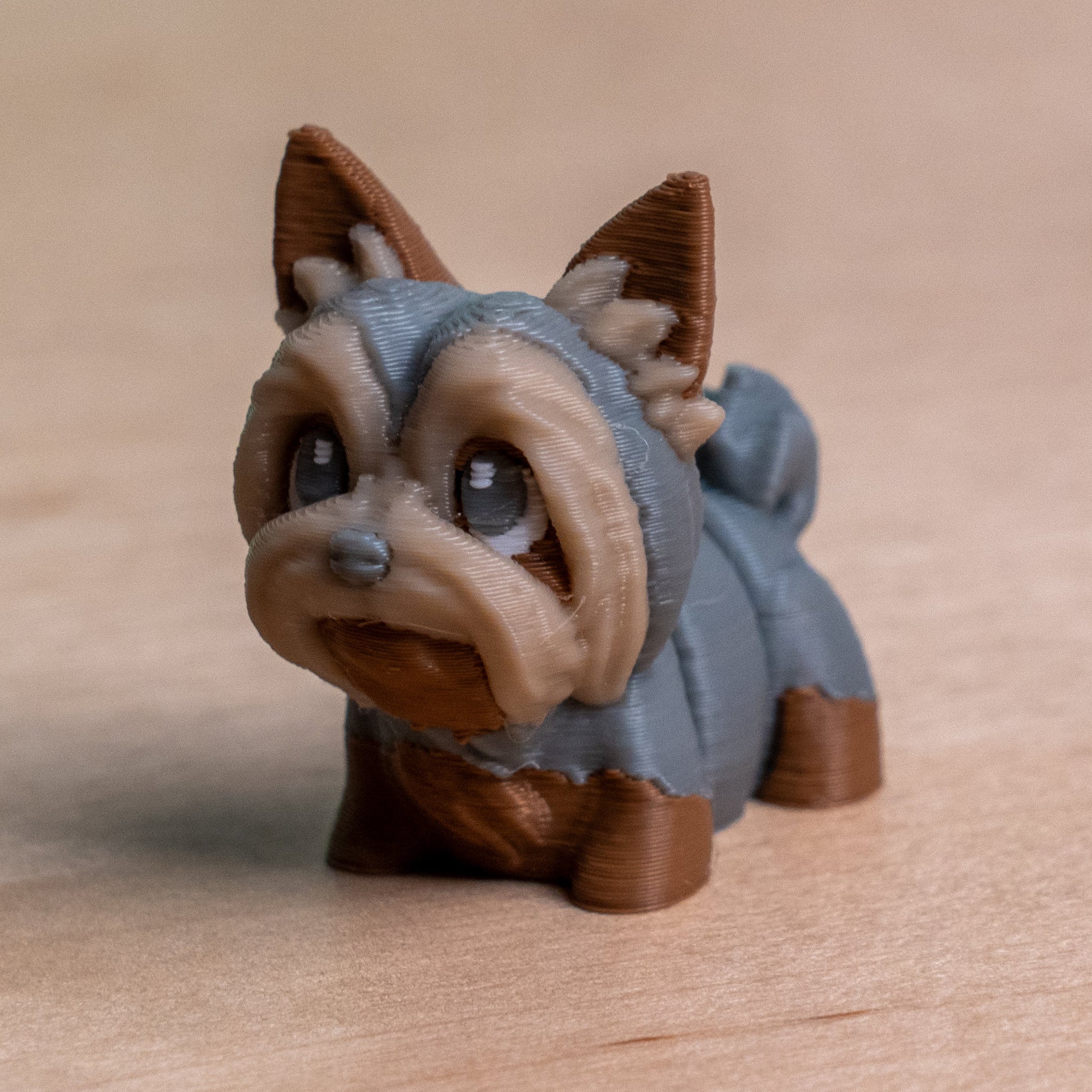 Modokin Yorkshire Dog