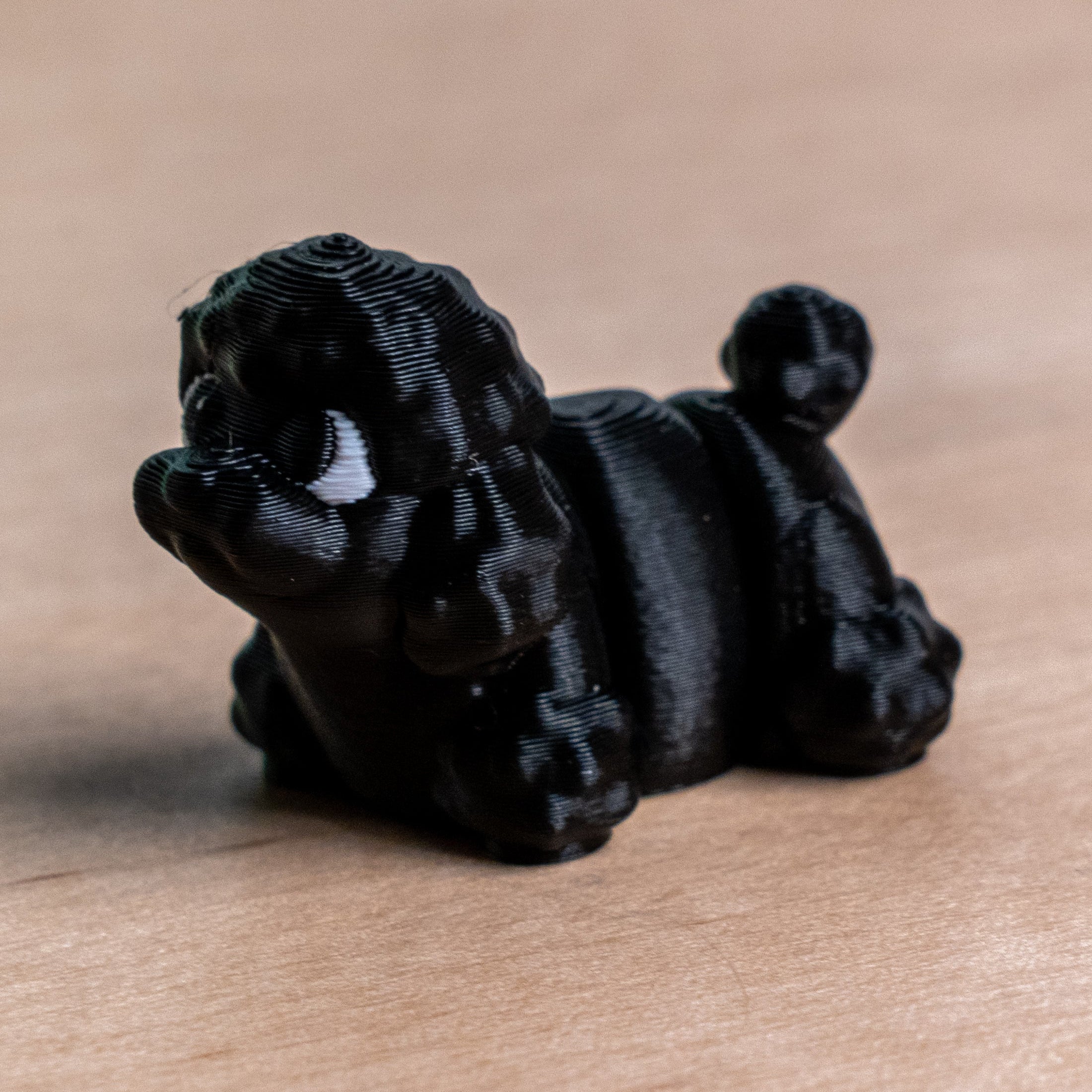 Modokin Poodle Dog