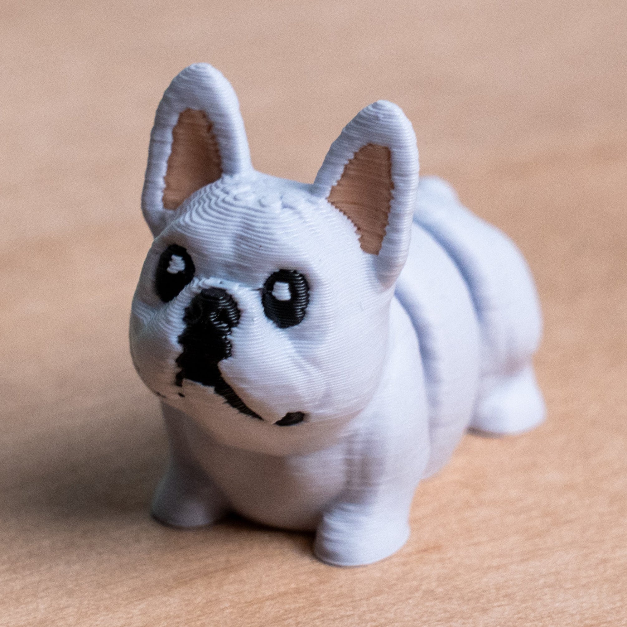 Modokin French Bulldog