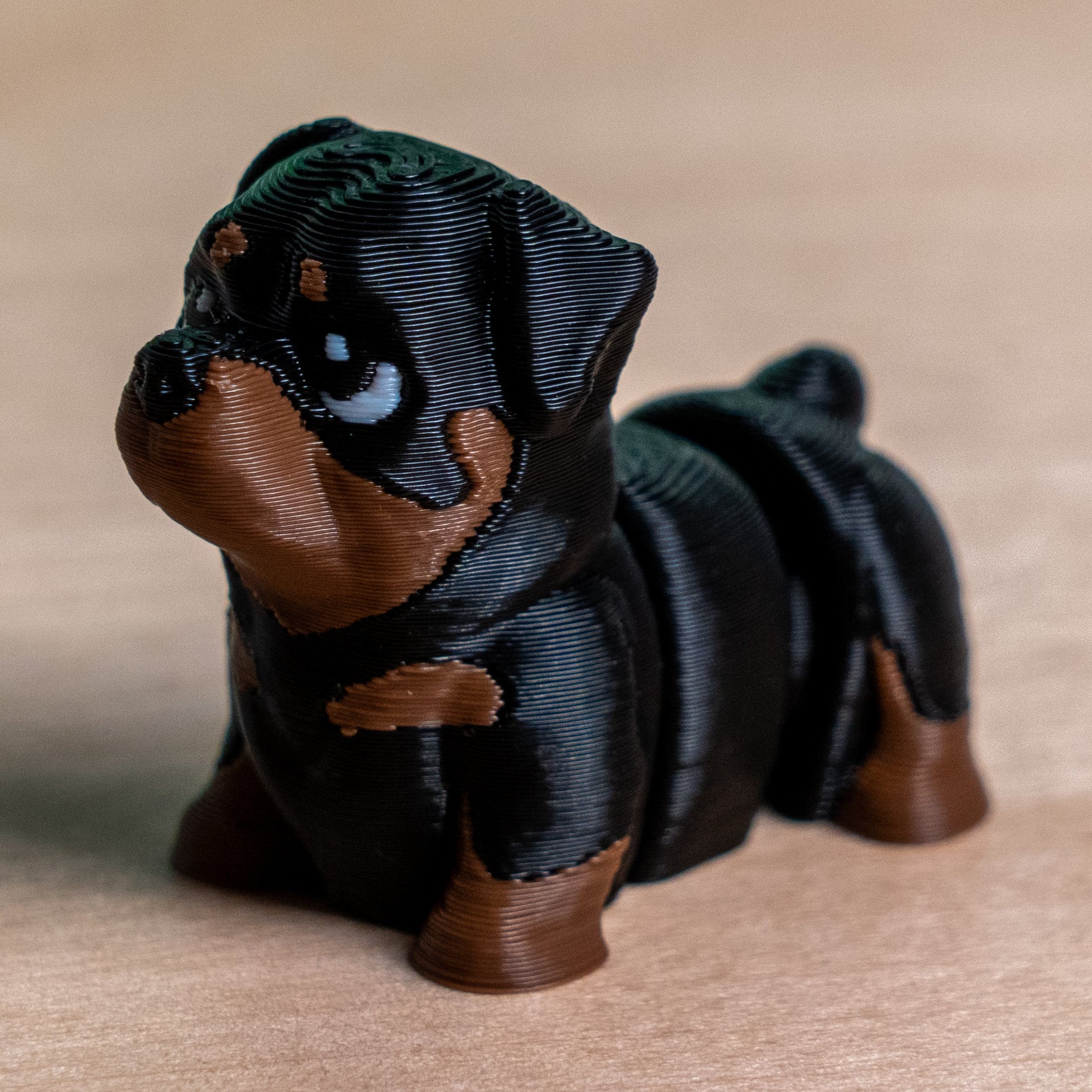 Modokin Perro Rottweiler