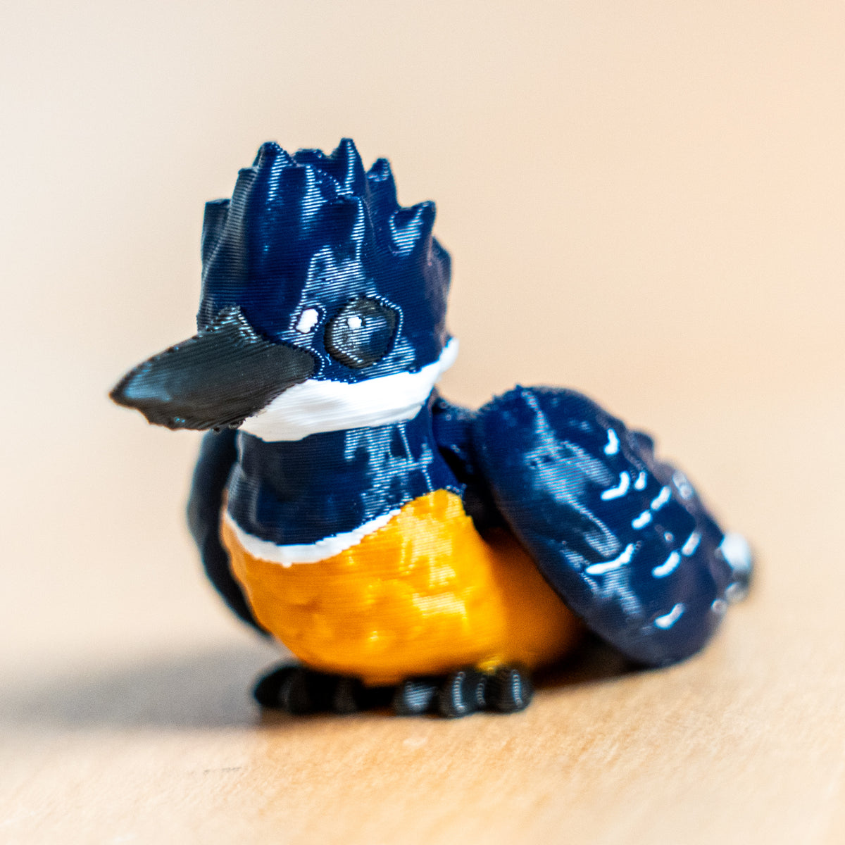Modokin Pajaro Martín Pescador