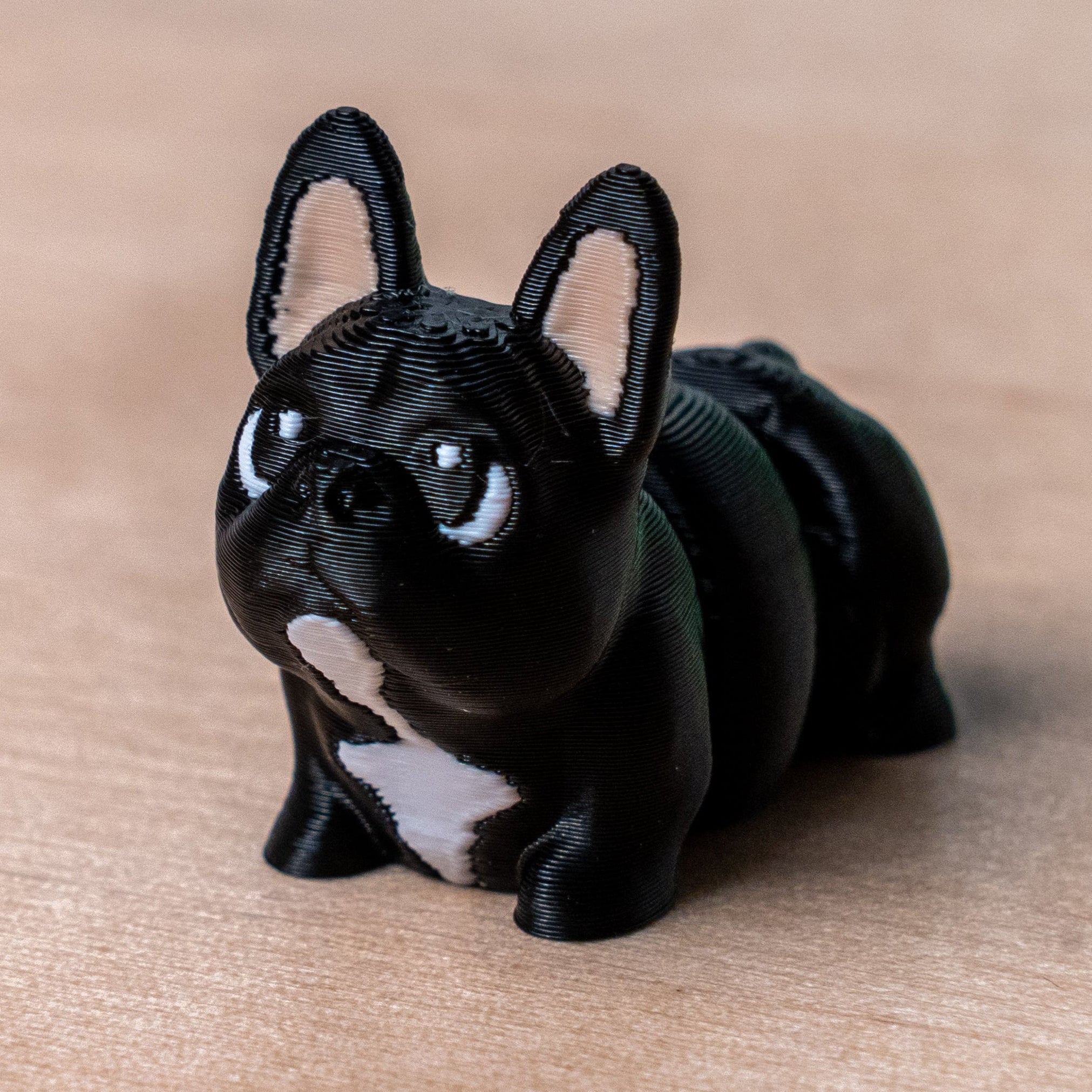 Modokin French Bulldog